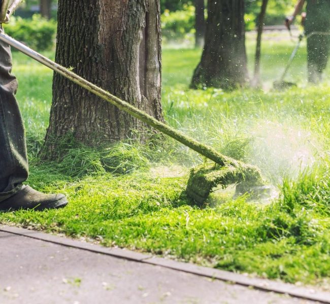 Man working with landscaping tool on grassy yard