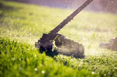 Closeup of lawn tool working on grass