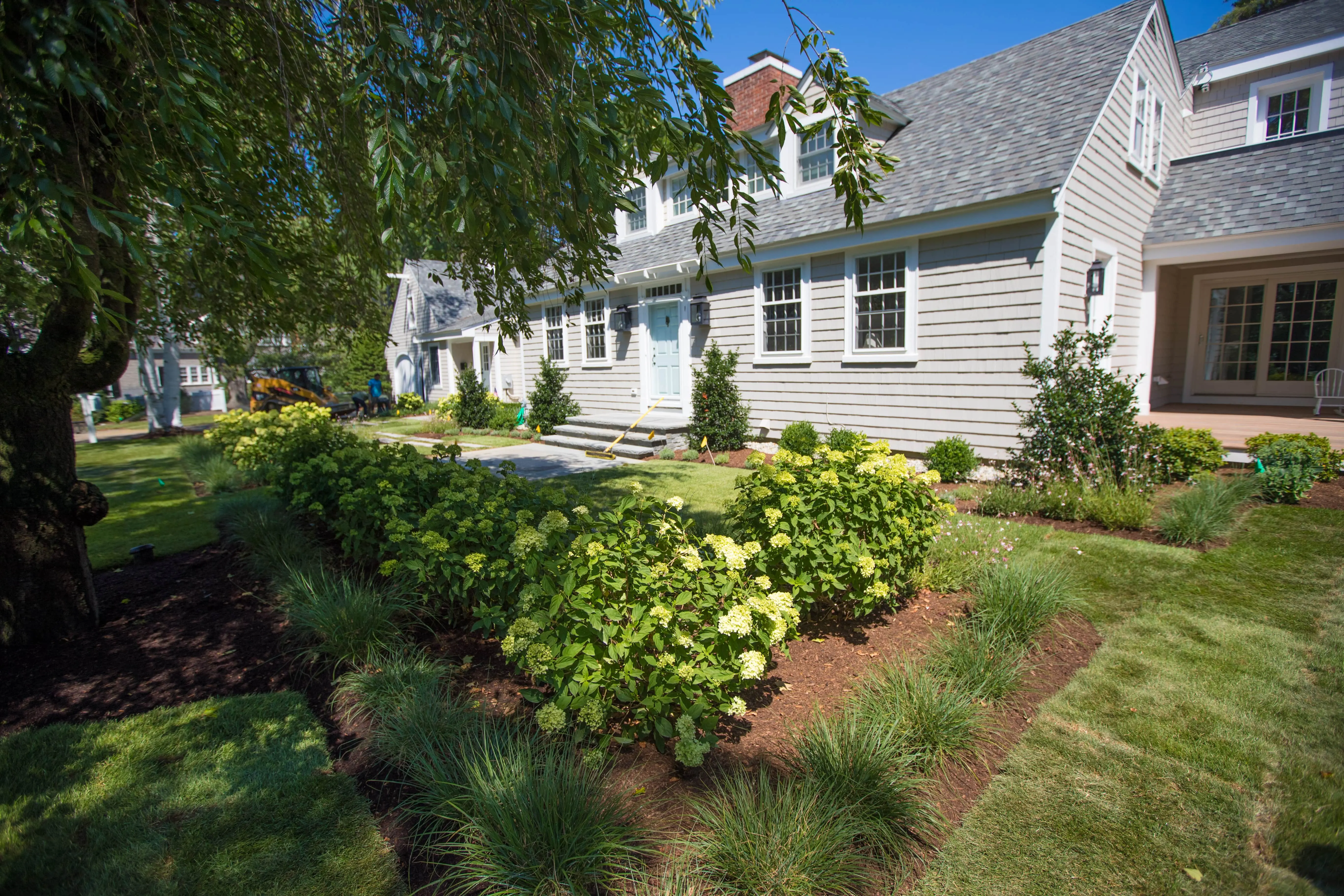 Front yard with plantings
