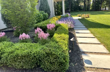 plantings