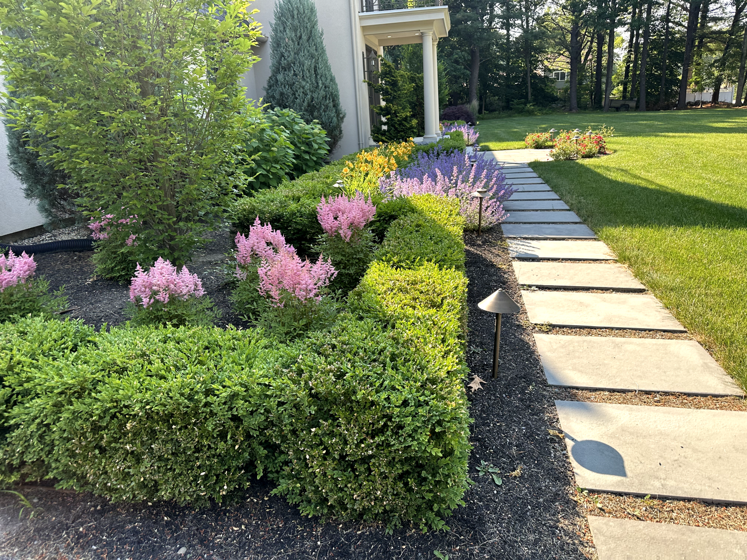 plantings
