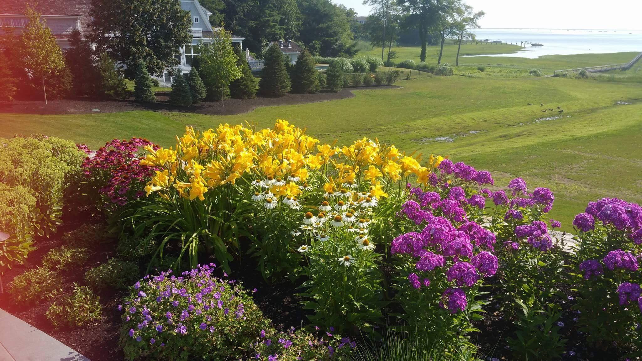 Plantings
