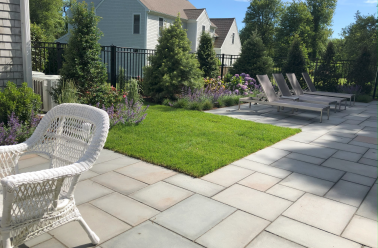 pool and plantings